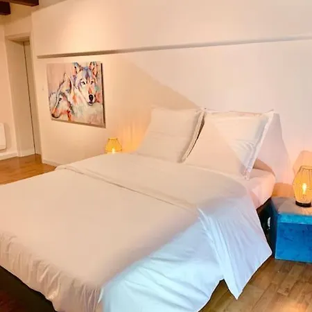 Le Terrier Du Katz דירה