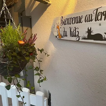 Le Terrier Du Katz דירה *