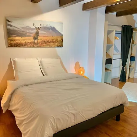 Le Terrier Du Katz Dabo