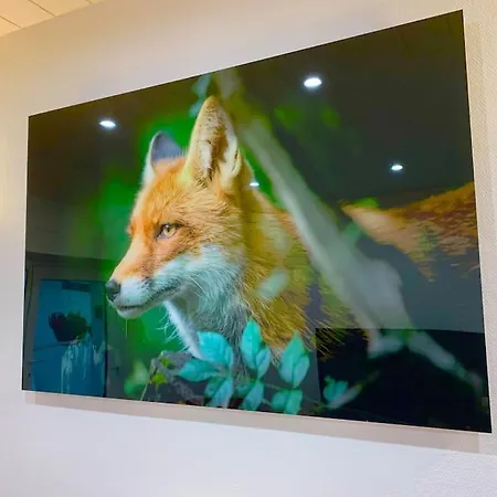 Le Terrier Du Katz *