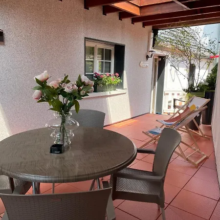 Le Terrier Du Katz Dabo