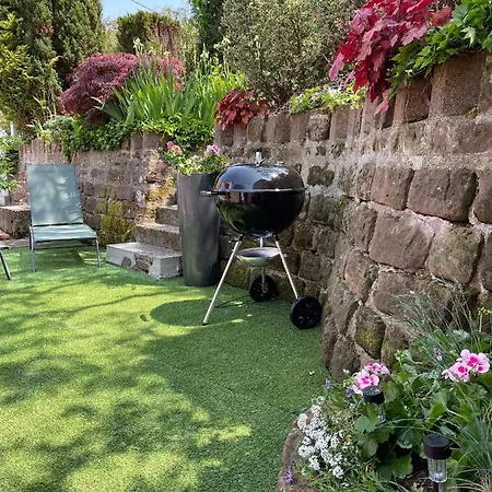 Le Terrier Du Katz *