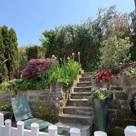 Le Terrier Du Katz * Dabo