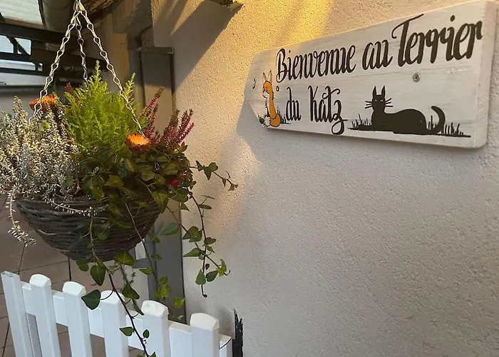 Le Terrier Du Katz Appartement *