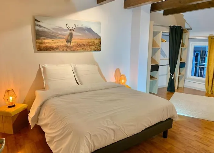 Le Terrier Du Katz Dabo