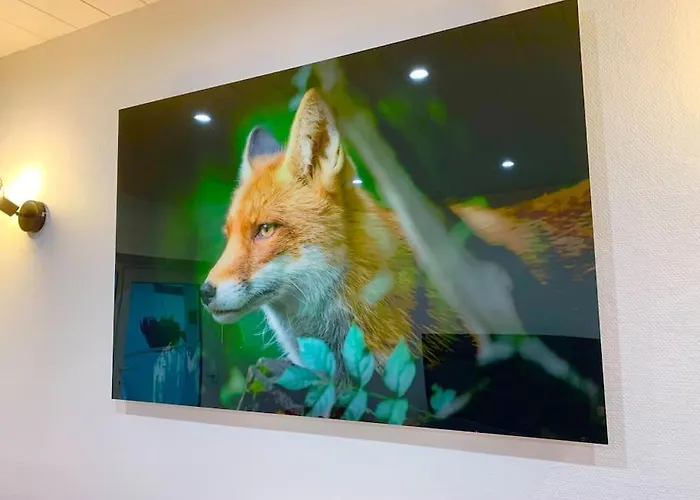 Le Terrier Du Katz *