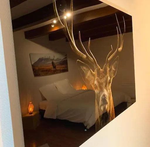 Le Terrier Du Katz * Dabo