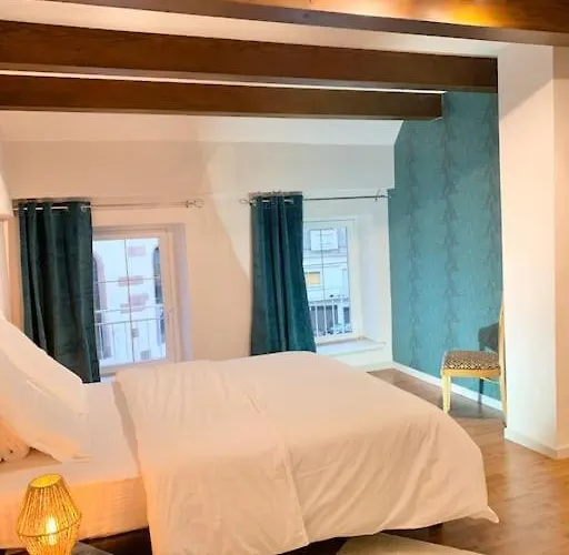 Le Terrier Du Katz * Dabo