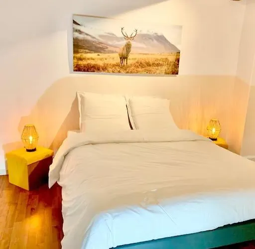 Le Terrier Du Katz *