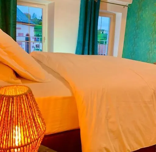 Le Terrier Du Katz Dabo