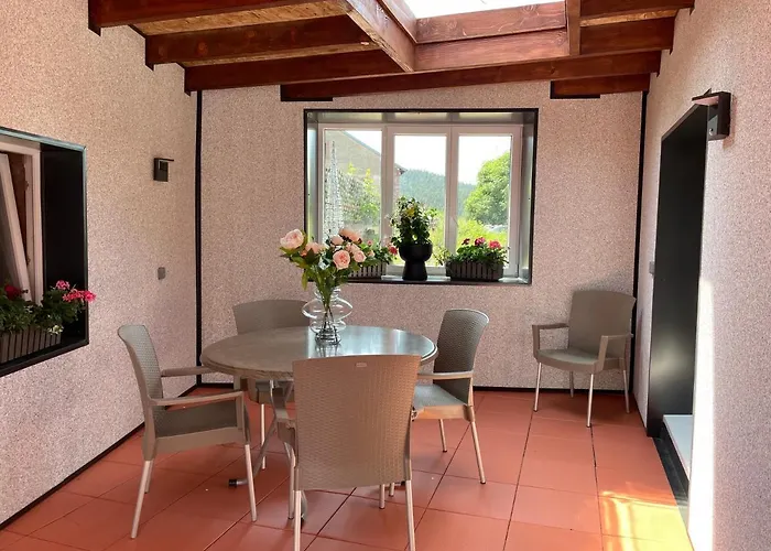 Le Terrier Du Katz Dabo