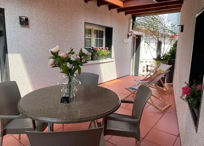 Le Terrier Du Katz Dabo