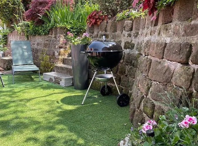 Le Terrier Du Katz *