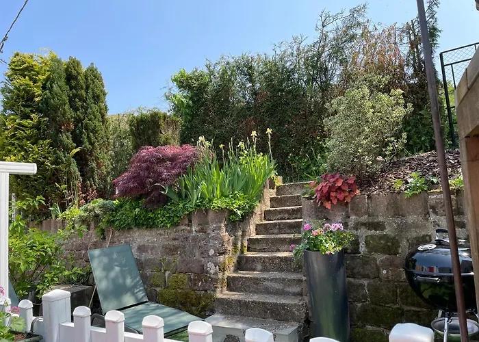 Le Terrier Du Katz * Dabo