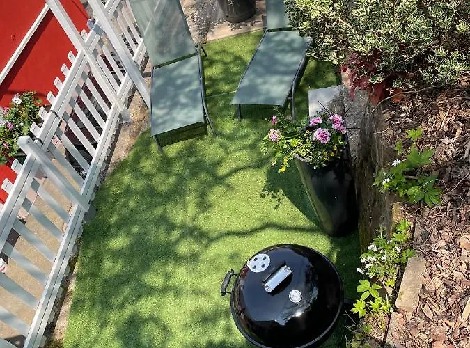 Le Terrier Du Katz *